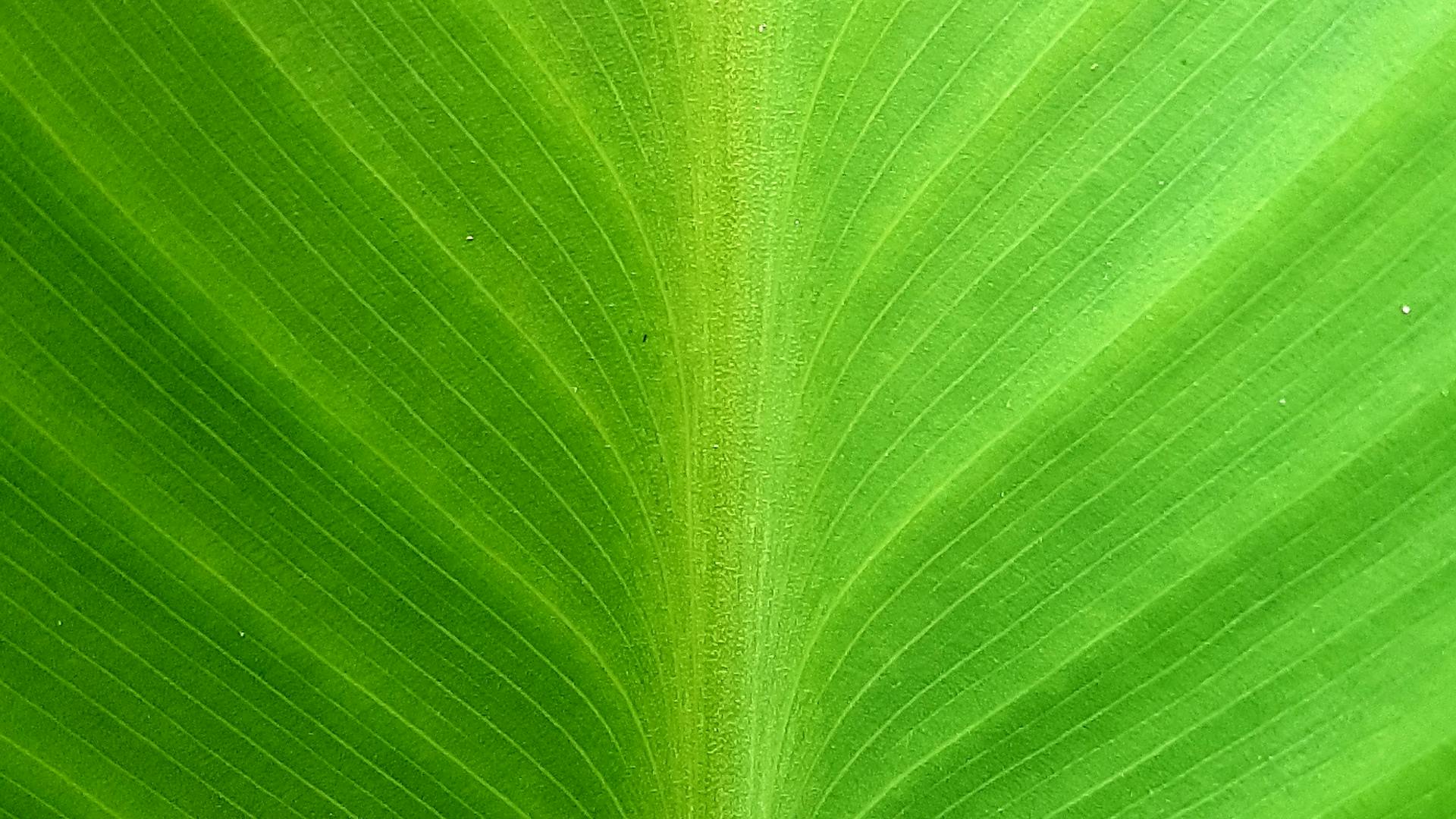 Beauty counter display